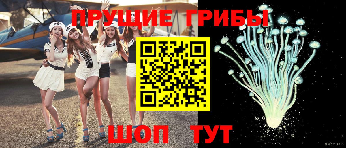 Томск  Псилоцибиновые грибы ЛСД  Вход с VPN  Галлюциногенные грибы ЛСД 
